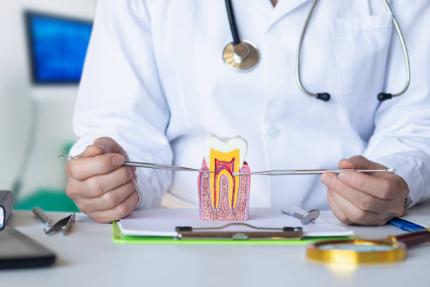 Best Emergency Dental Care for Abscessed Tooth in La Verkin, UT